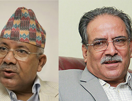 Don’t be in a quandary over party unification: Nepal to Dahal