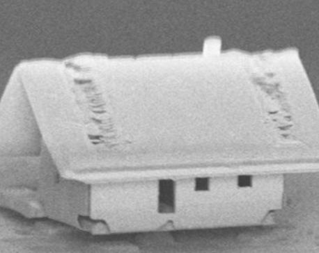 Scientists create world’s smallest house on just 300 square micrometres