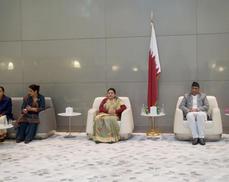President Bhandari meets Polish counterpart