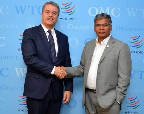 Industry Minister Yadav meets WTO Director General in Geneva