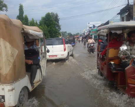 (In Pics) Dhangadi is waterlogged after incessant rainfall