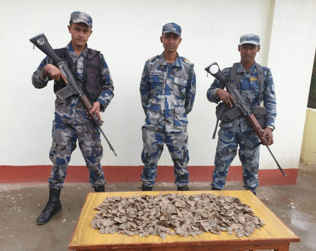 Pangolin scales widely traded illegally in Dolakha