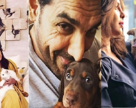 B-town shares adorable pictures with their pet on National Pet Day