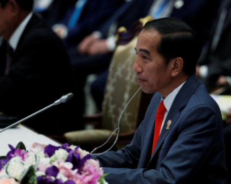 Indonesian president unveils site of new capital on Borneo island