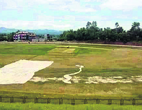From grazing-land to potential international-standard cricket venue