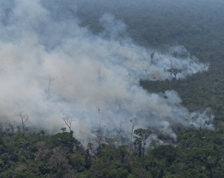 Bolsonaro to send army to fight huge fires in the Amazon
