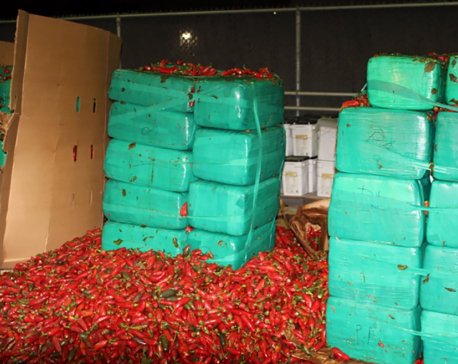 Officials seize marijuana mixed with jalapeño peppers