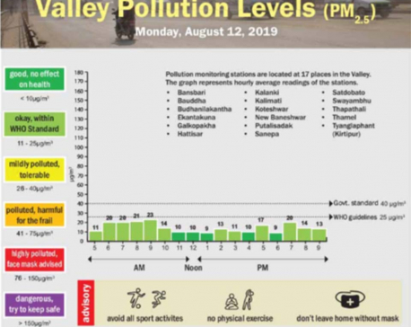 Valley pollution levels for Aug 11, 2019