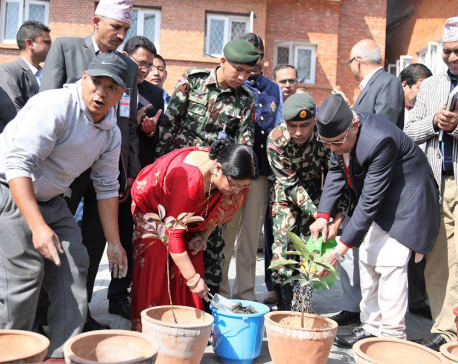 PM Oli celebrates 68th birthday by planting saplings