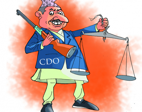 CDOs still powerful under federal setup