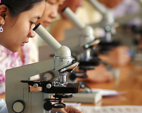Engaging women and girls in science ‘vital’ for Sustainable Development Goals