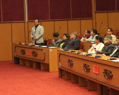 Nat'l Assembly's meeting adjourned following protest from Nepali Congress