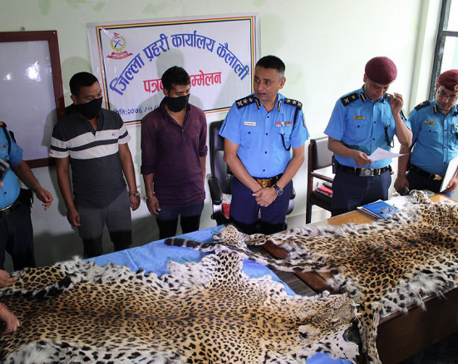 Two held with leopard hides
