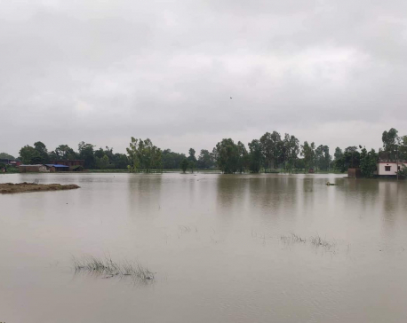 202 houses inundated in Jhapa