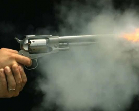 Unidentified group opens fire on ex-govt official's house in capital