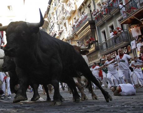 6 hospitalized after fifth bull run in Pamplona