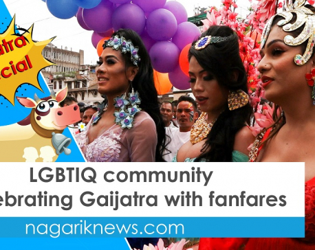 Hundreds of sexual minorities celebrate Gaijatra with fanfares (with video)