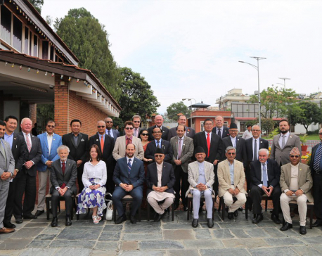 Government urges HCG/HCs to promote Nepal's economic diplomacy