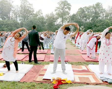 Yog for healthy body, peaceful mind: Vice President Pun