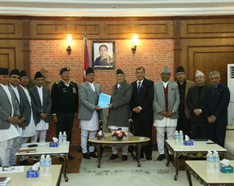 NA's role in conflict management, int'l peacekeeping operations admirable: PM Oli