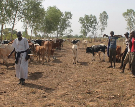 Gunmen kill at least 134 Fulani herders in central Mali's worst violence yet