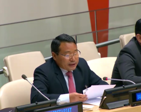 Minister Pun participates in high-level dialogue on UN Decade of Sustainable Energy for All