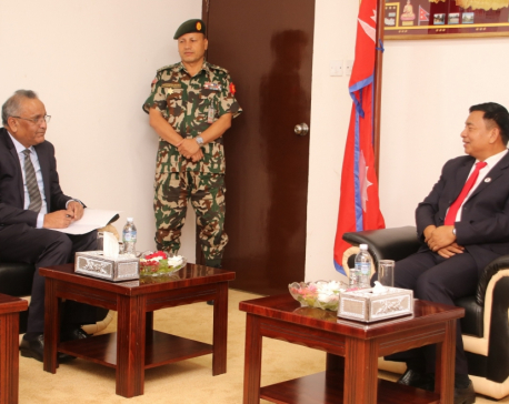 Pakistani ambassador to Nepal calls on Vice President Pun