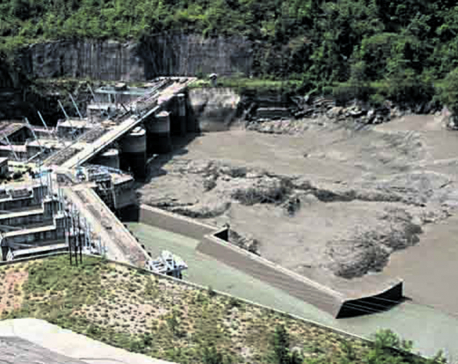Government to construct Budhi Gandaki Hydel Project on its own
