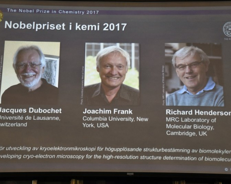 Nobel Prize honors technique for seeing molecules’ details