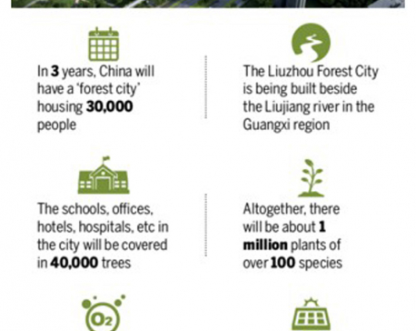 Infographics: China's smog eating forest city