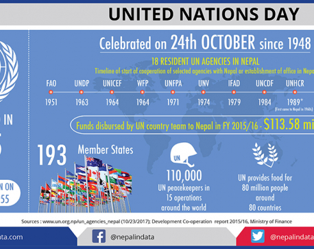 Infographics: United Nations Day