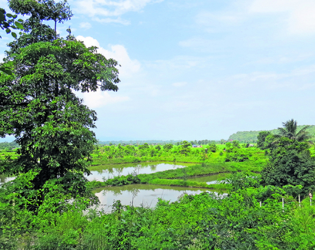 NOC land in Chitwan at big risk of inundation: Experts