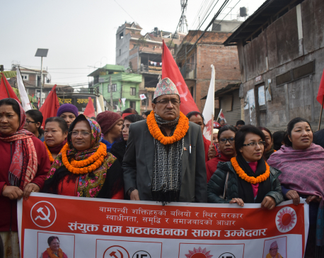 Communists are more democratic than others: leader Bhusal