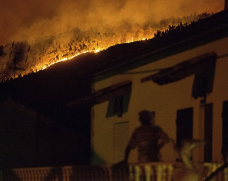 57 dead in central Portugal wildfires; many killed in cars