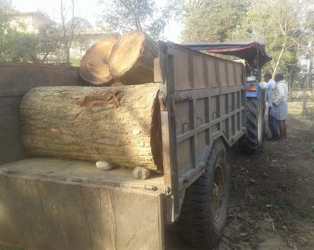 Protecting community forest from smugglers a new challenge in Nepalgunj