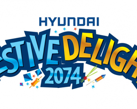 Hyundai Festive Delight 2074