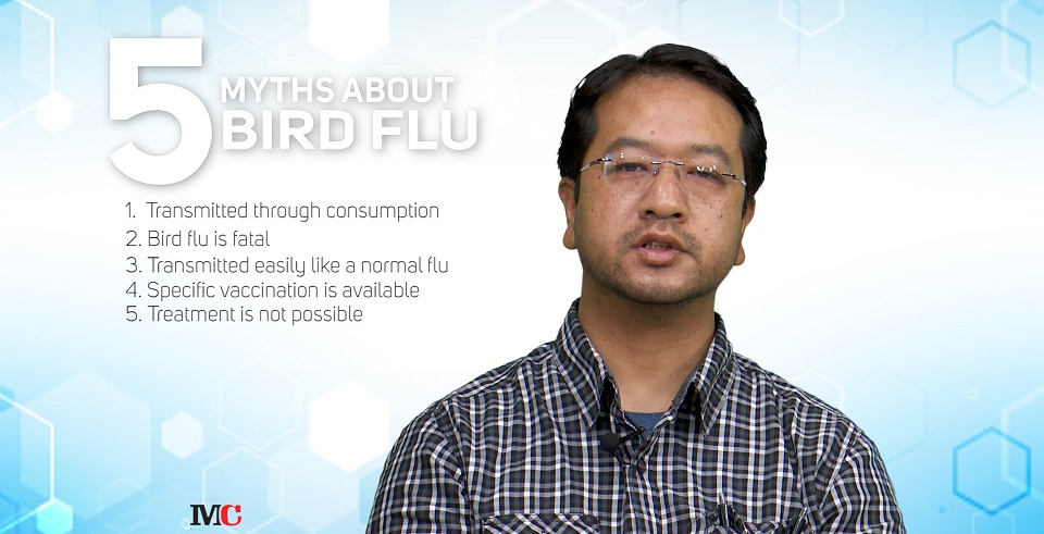 Five myths about Bird Flu (with video)