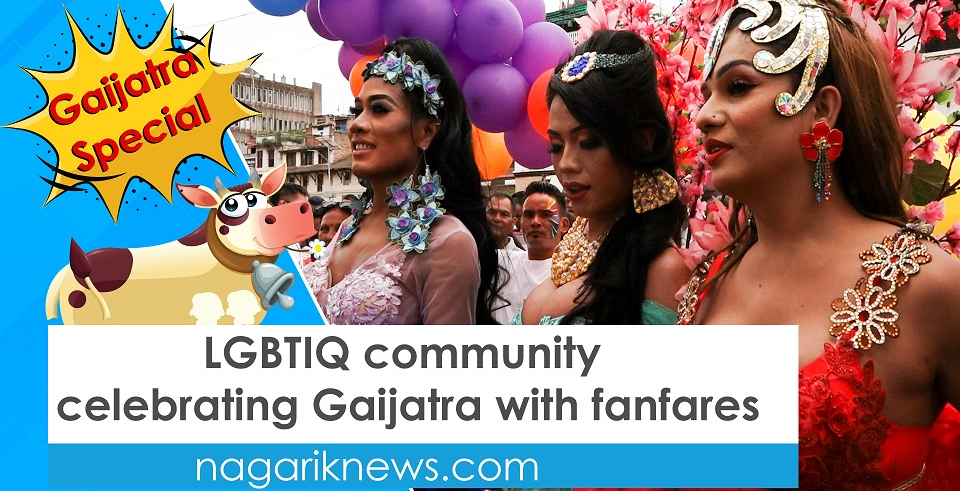 Hundreds of sexual minorities celebrate Gaijatra with fanfares (with video)