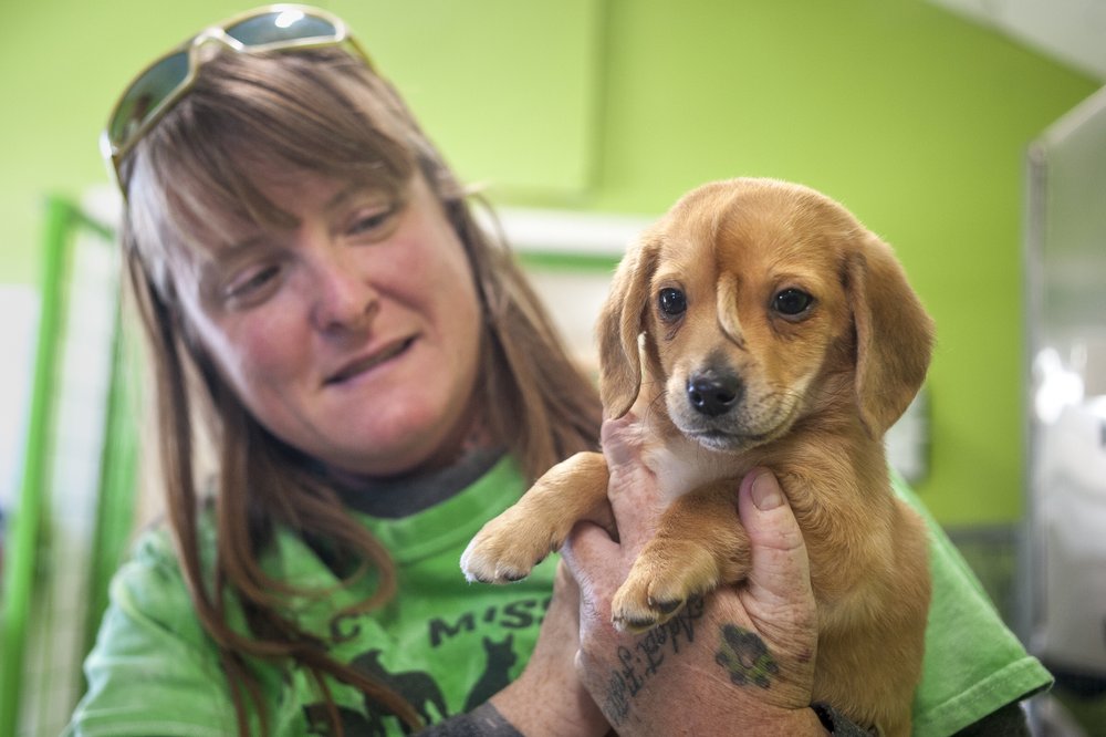 ‘Unicorn puppy’ will stay with Missouri rescue mission