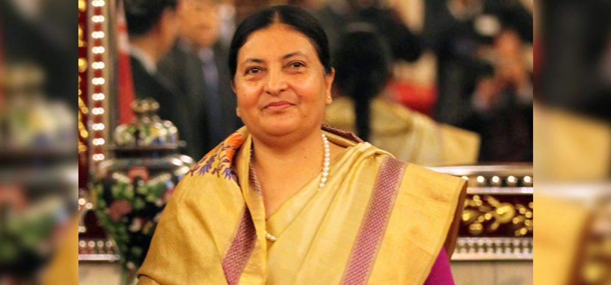 Prez Bhandari urges stakeholders to intensify campaign to supply electricity to rural areas