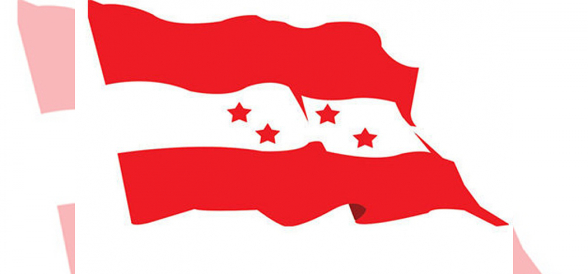 NC Taplejung nominates 3 district members and 5 invited district members