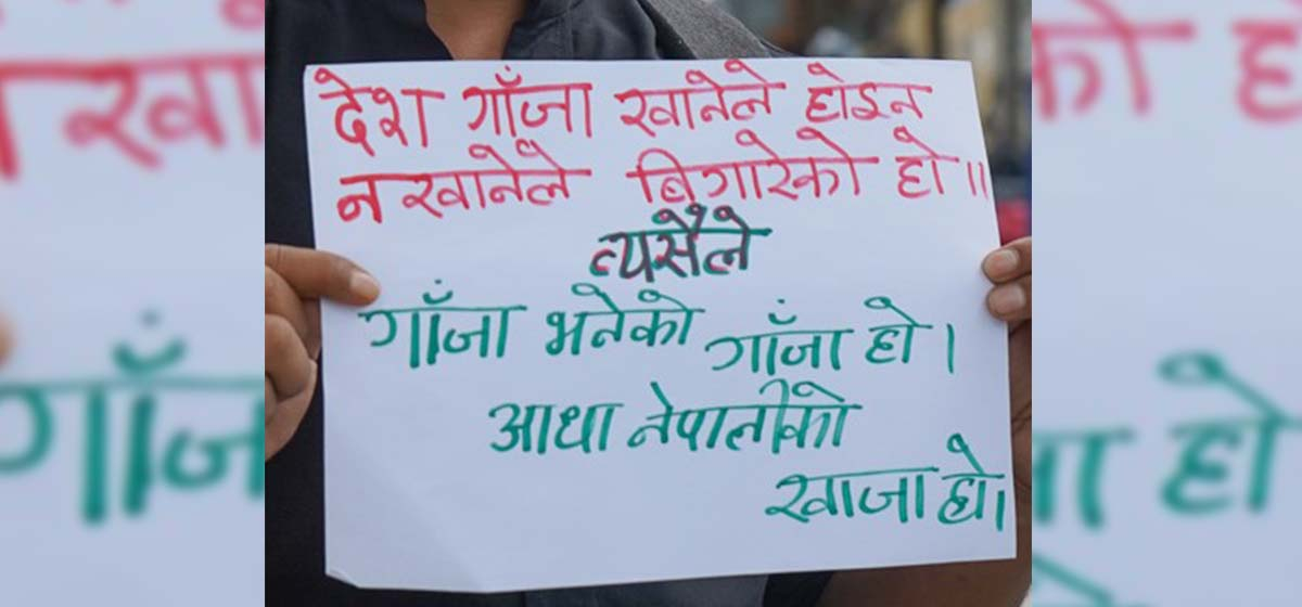 Demonstration held in Kathmandu to exert pressure on govt to legalize marijuana