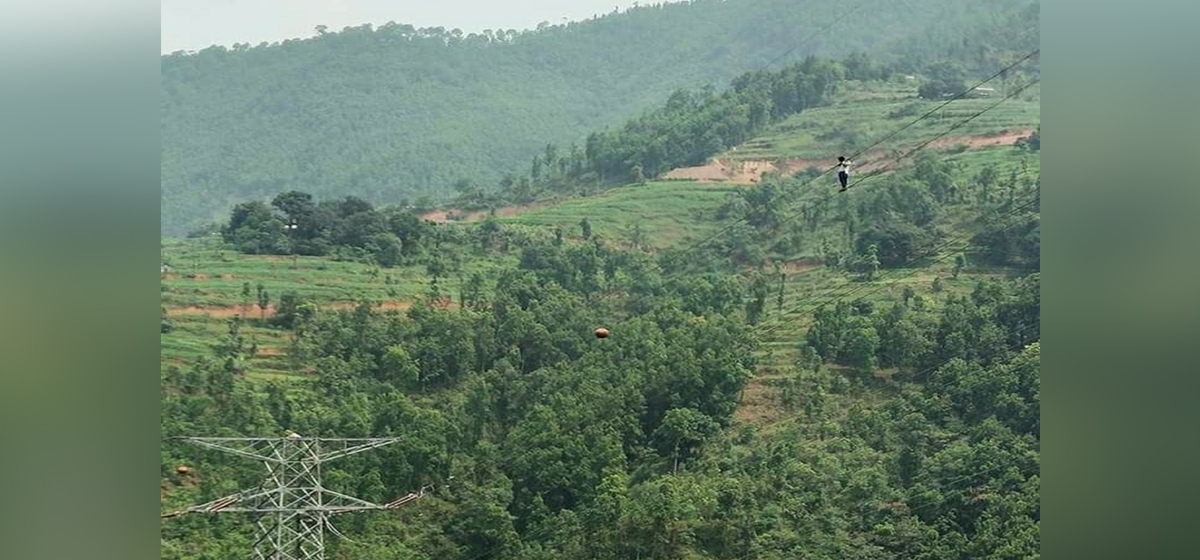 Upper Trishuli 3A shut down after mentally unstable man climbs on overhead high tension electrical lines