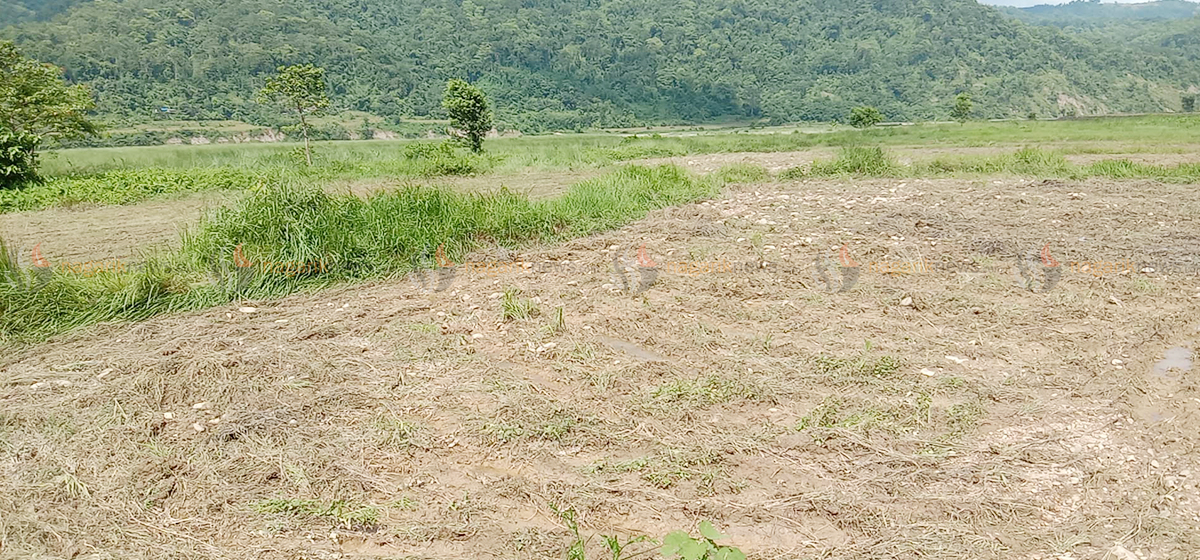 Preparations begin in Sindhuli to build an airport