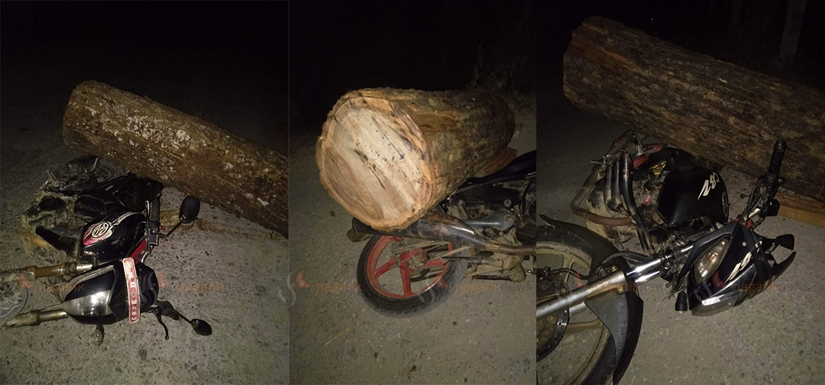Three motorcycles with illegal woods seized in Chitwan