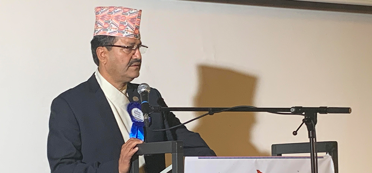 Govt decision to recall envoys diminished Nepal’s int’l image:  NP Saud