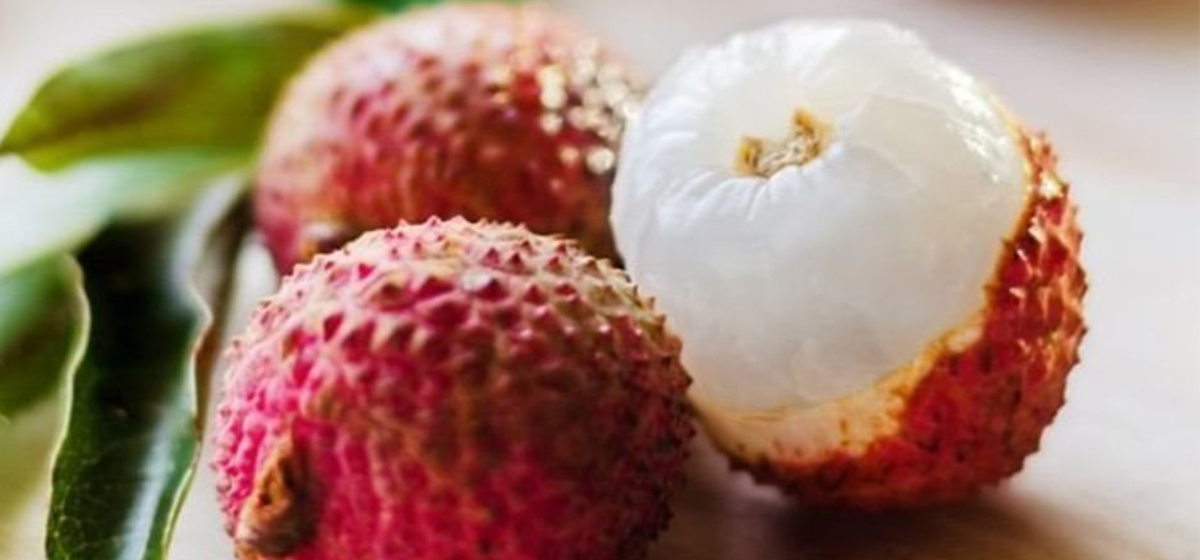 Child dies choking on lychee seed