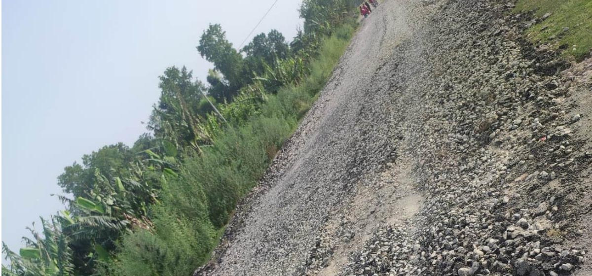 Tikapur Planning Branch Chief Joshi faces action for unauthorized road repair
