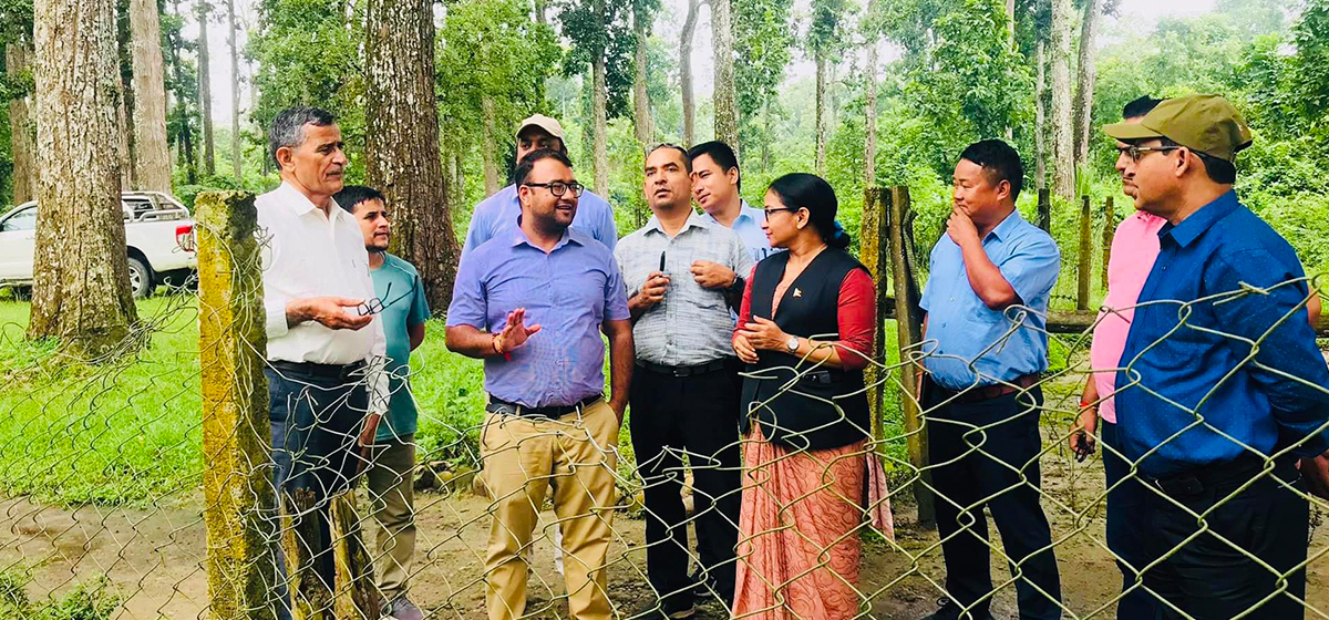 Preparation for black-topping road inside Chitwan National Park