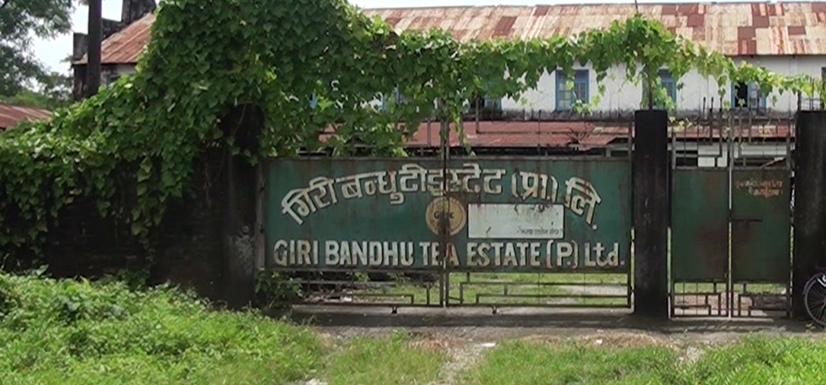 SC overturns land swap decision involving Giri Bandhu Tea Estate made by Oli-led govt